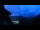 Webcam in Meiringen-Hasliberg, 6 km