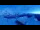 Webcam in Wengen, 2 mi away