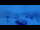 Webcam in Wengen, 1.9 mi away