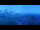 Webcam in Wengen, 1.1 mi away
