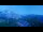 Webcam in Wengen, 1.1 mi away