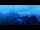 Webcam in Wengen, 0.9 mi away