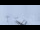 Webcam in Wengen, 5.2 km