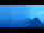 Webcam in Wengen, 0 mi away