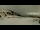 Webcam in Prarion, 3.2 mi away