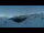Webcam in Bellwald, 16.3 km entfernt