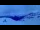 Webcam in Bellwald, 16.3 km