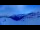 Webcam in Bellwald, 12.5 km