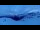 Webcam in Bellwald, 13.8 km