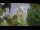 Webcam in Provins, 80 km