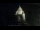 Webcam in Provins, 31.2 mi away