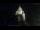 Webcam in Provins, 12.6 mi away