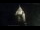 Webcam in Provins, 31.5 mi away