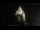 Webcam in Provins, 35 mi away