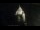 Webcam in Provins, 80 km entfernt
