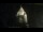 Webcam in Provins, 17.8 mi away