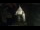 Webcam in Provins, 80 km