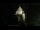 Webcam in Provins, 18.2 mi away