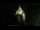 Webcam in Provins, 19.4 mi away
