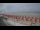 Webcam in Houlgate, 5.2 mi away