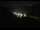 Webcam in Grächen, 0.5 km