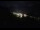 Webcam in Grächen, 1.1 mi away