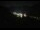 Webcam in Grächen, 0.2 mi away