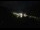 Webcam in Grächen, 0.5 km entfernt