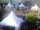 Webcam in Westerstede, 10 km