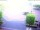 Webcam in Westerstede, 42.3 km entfernt