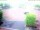 Webcam in Westerstede, 52.4 km