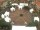 Webcam in Westerstede, 15.7 mi away