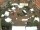 Webcam in Westerstede, 52 km