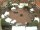 Webcam in Westerstede, 11.6 mi away