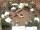 Webcam in Westerstede, 11.6 mi away