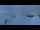 Webcam in Flumserberg, 2.9 km