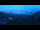 Webcam in Adelboden, 5 km