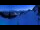 Webcam in Braunwald, 2.4 km entfernt