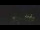 Webcam in Bern, 1.5 mi away