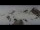 Webcam in Bregaglia, 18.1 km