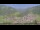 Webcam in Großarl, 0.6 km