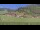 Webcam in Großarl, 7 km entfernt