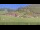 Webcam in Großarl, 0.5 mi away