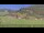Webcam in Großarl, 3.1 mi away