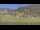 Webcam in Großarl, 2.8 mi away