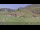 Webcam in Großarl, 0.6 mi away