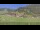 Webcam in Großarl, 2.8 mi away