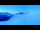 Webcam in Liddes, 15.2 km entfernt