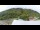 Webcam in Fiesch, 4.4 km entfernt