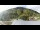 Webcam in Fiesch, 5.4 km entfernt